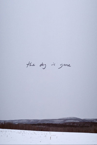 Póster de The Dog Is Gone