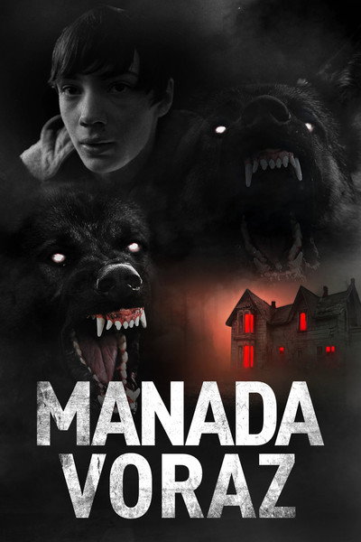 Póster de The Dogs