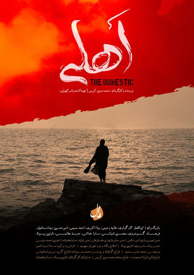 Póster de The Domestic