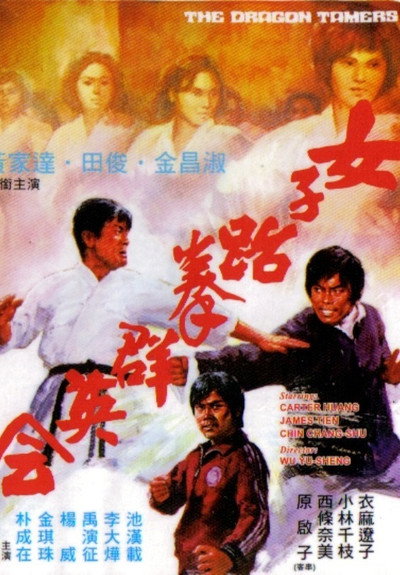 Póster de The Dragon Tamers