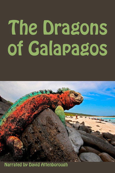 Póster de The Dragons of Galapagos