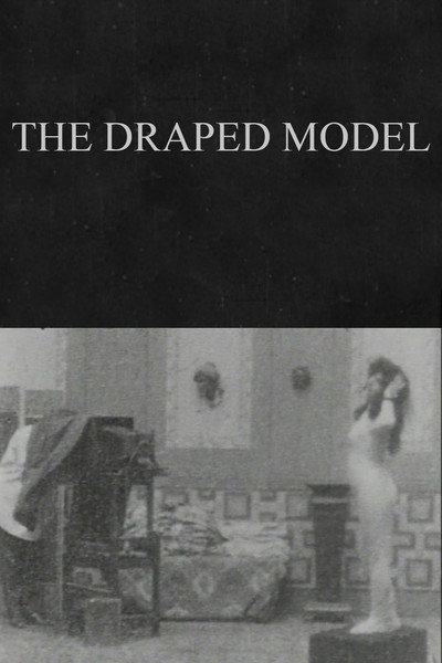 Póster de The Draped Model