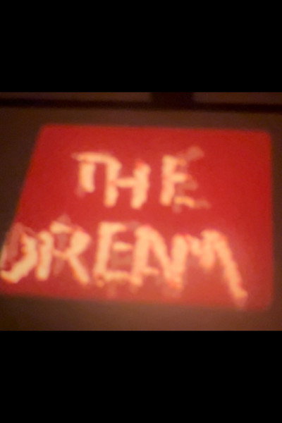 Póster de The Dream, NYC, the Return, the Flower