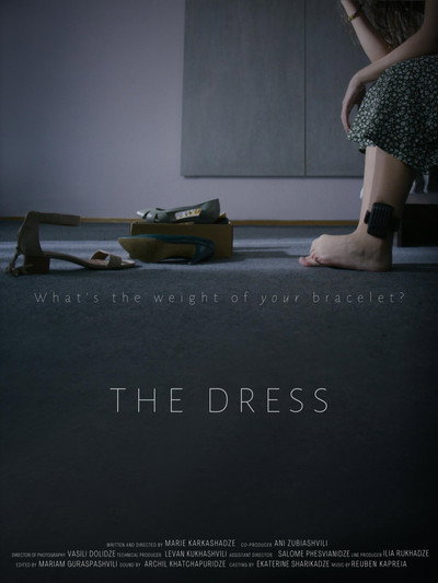 Póster de The Dress