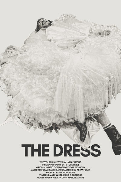 Póster de The Dress