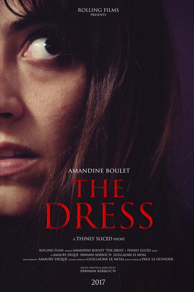Póster de The Dress