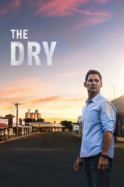 Póster de The Dry