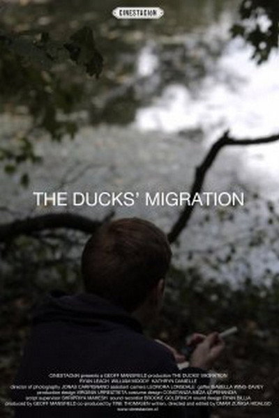 Póster de The Ducks' Migration
