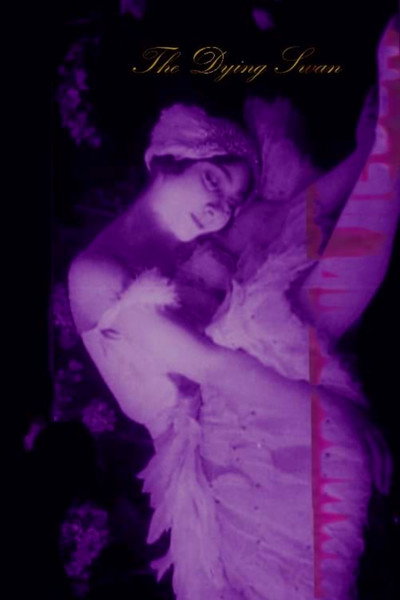 Póster de The Dying Swan