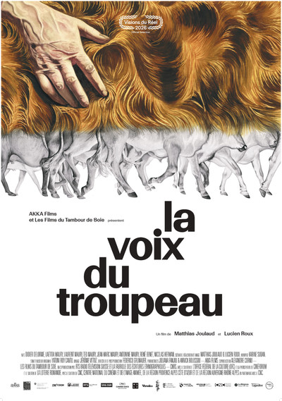 Póster de The Echo of the Herd