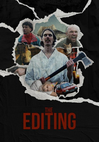 Póster de The Editing
