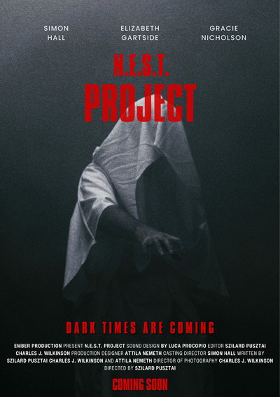 Póster de The Eight Saga:N.E.S.T.Project