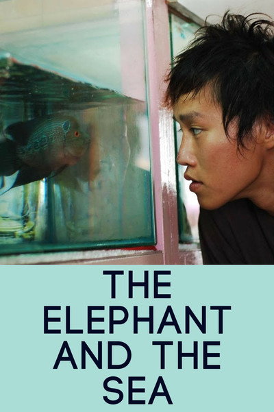 Póster de The Elephant and the Sea