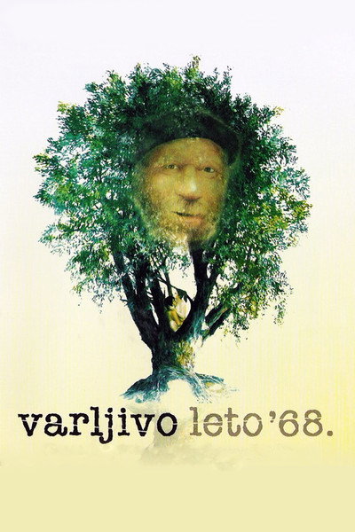 Póster de The Elusive Summer of '68