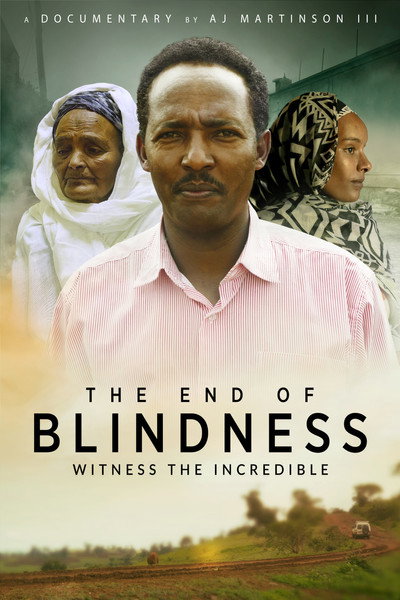 Póster de The End of Blindness