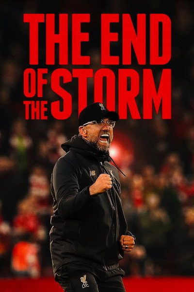 Póster de The End of the Storm