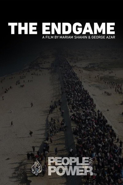 Póster de The Endgame