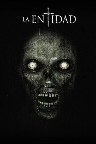 Póster de The Entity