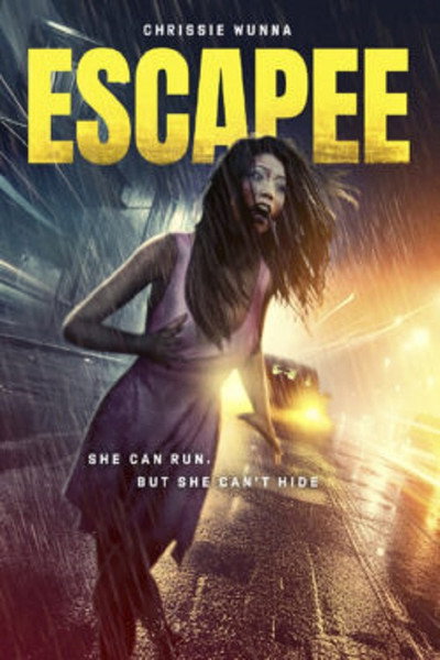 Póster de The Escapee