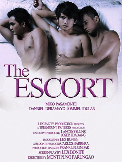 Póster de The Escort