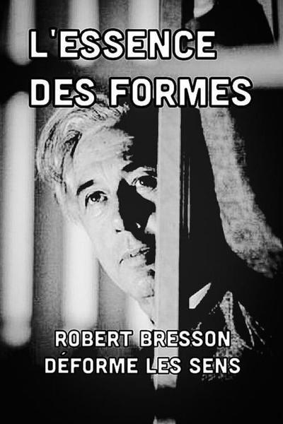 Póster de The Essence of Forms