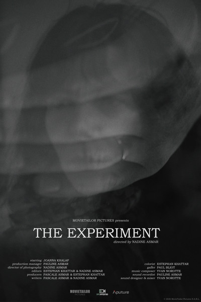 Póster de The Experiment