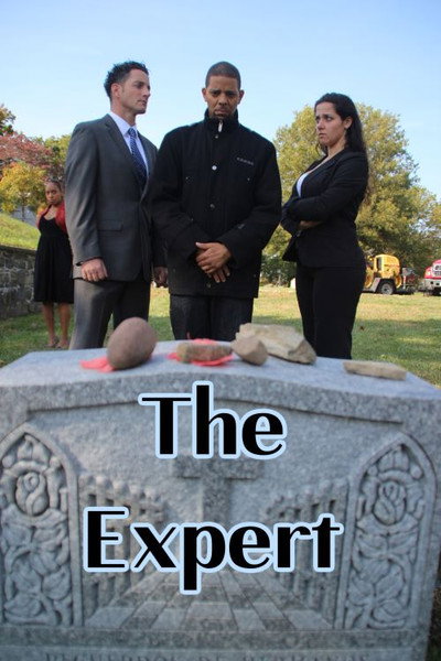 Póster de The Expert