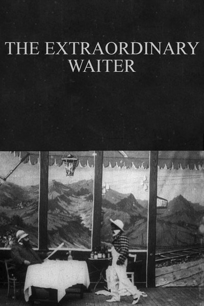Póster de The Extraordinary Waiter