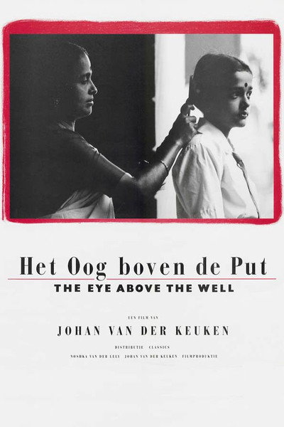 Póster de The Eye Above the Well
