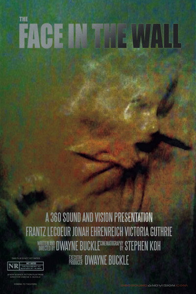 Póster de The Face in the Wall