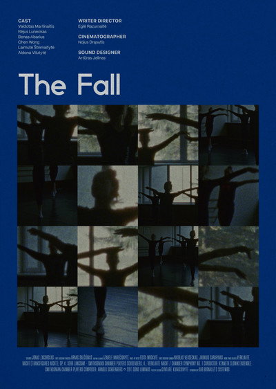 Póster de The Fall