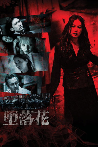 Póster de The Fallen