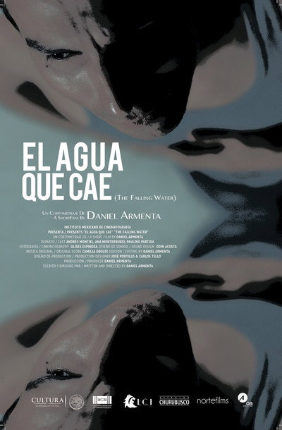 Póster de The Falling Water