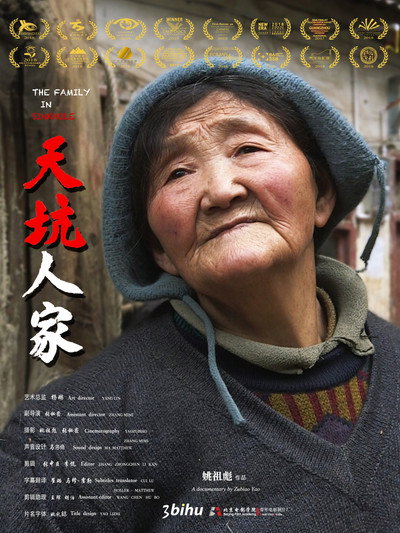 Póster de The Family in Sinkhole