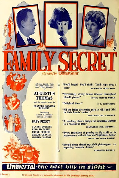 Póster de The Family Secret