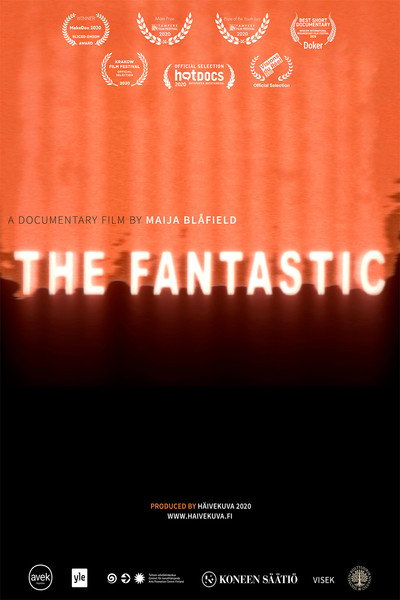 Póster de The Fantastic