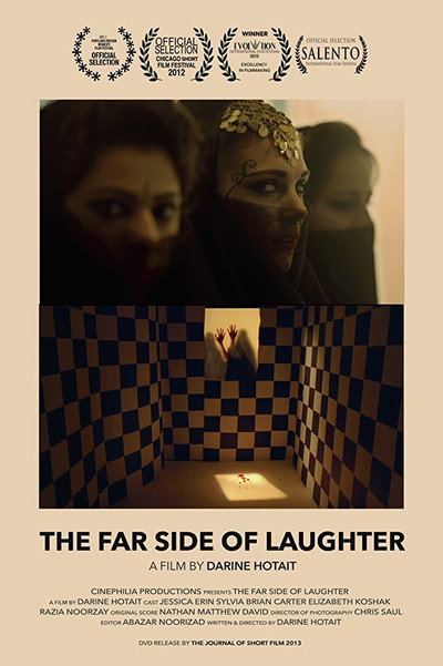 Póster de The Far Side of Laughter
