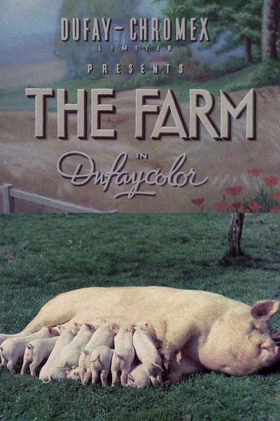 Póster de The Farm