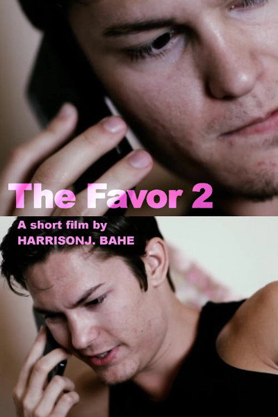 Póster de The Favor 2