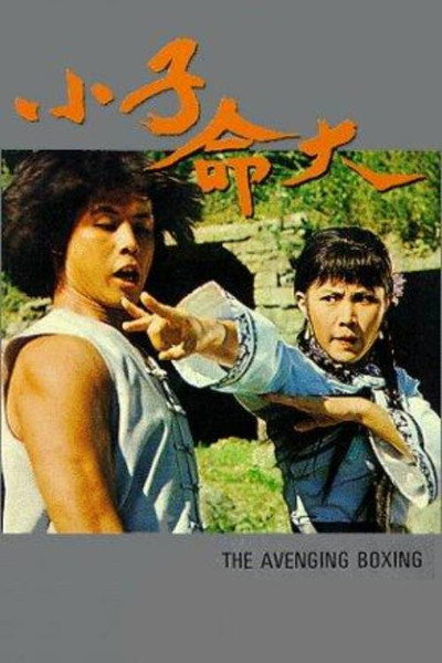 Póster de The Fearless Young Boxer