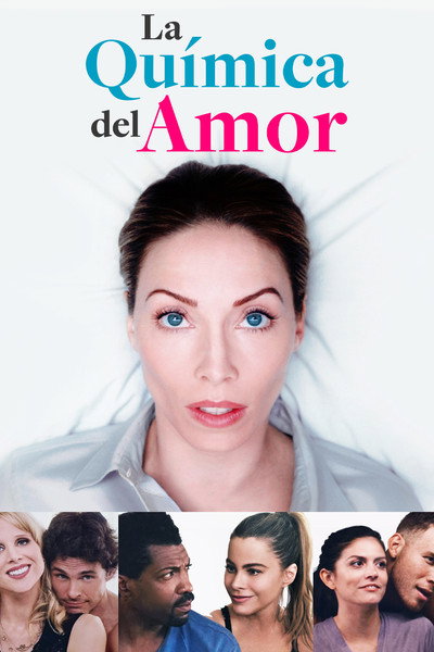Póster de The Female Brain