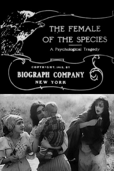 Póster de The Female of the Species