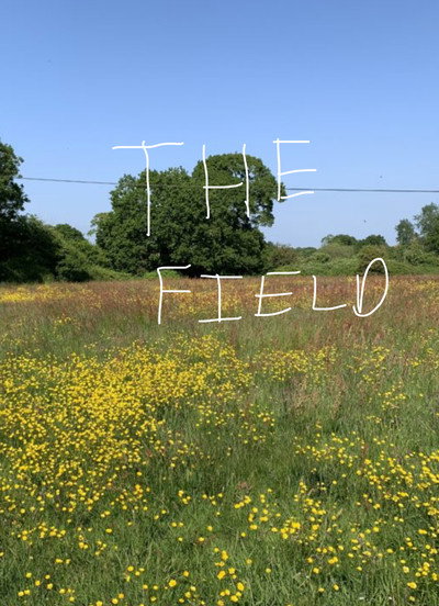Póster de The Field
