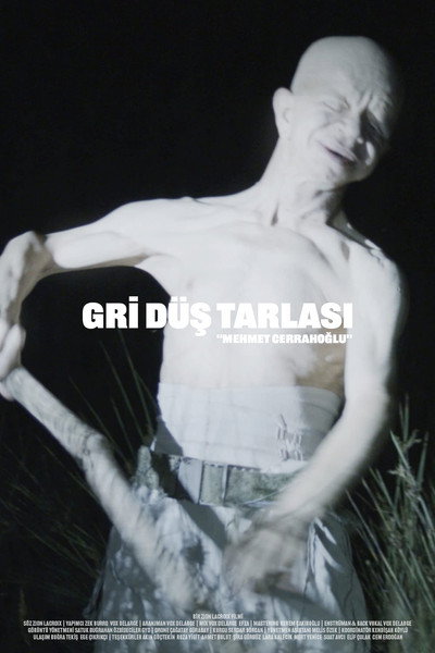 Póster de The Field of Gray Dreams