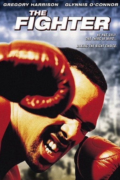 Póster de The Fighter (Asalto final)