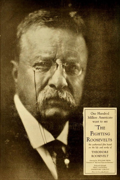 Póster de The Fighting Roosevelts