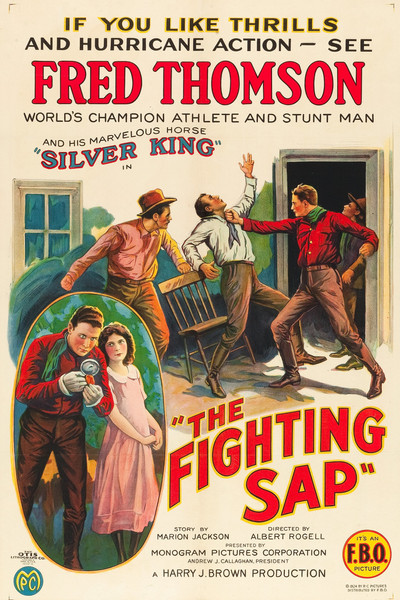 Póster de The Fighting Sap