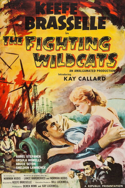 Póster de The Fighting Wildcats