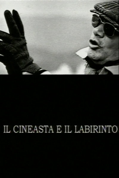 Póster de The Filmmaker and the Labyrinth