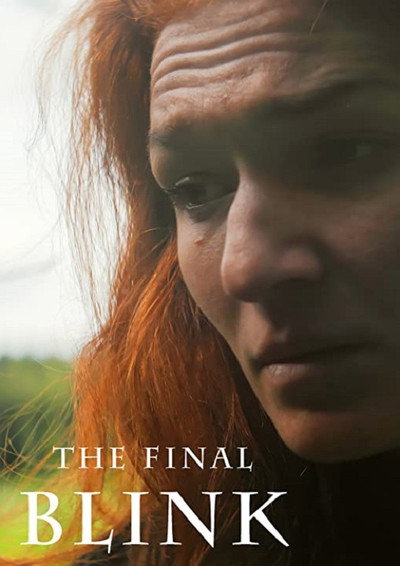 Póster de The final Blink